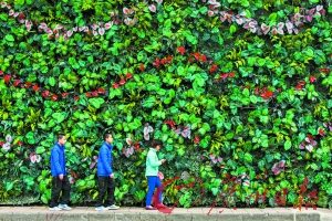 14岁少年突发缄默症不说话什么都要模仿弟弟（图）