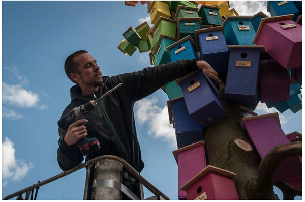 过去7年中，他在世界各地建造的鸟舍超过了3500个。