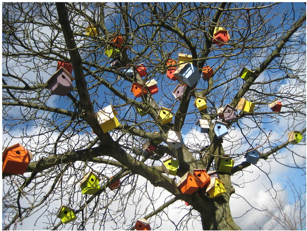 丹博认为人类和自然界的其它物种应该和谐共处。