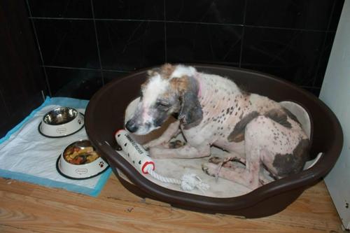 第一次有了温暖的床。