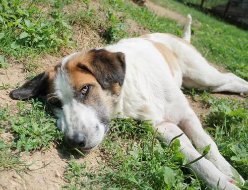 没事晒晒太阳。