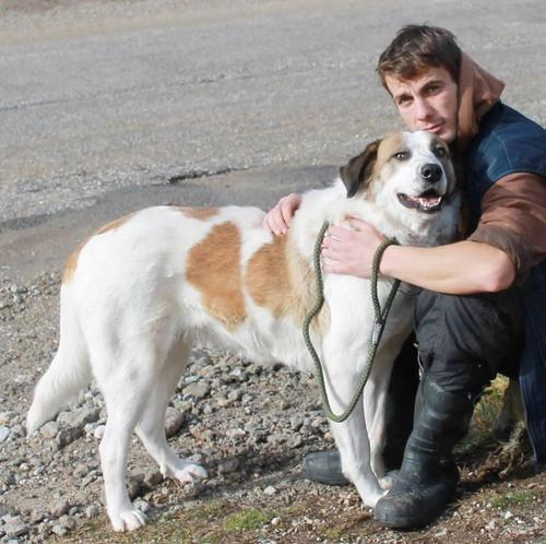 今年1月份，Khaleesi的照片。