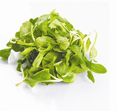 春天野菜多 都有什么营养价值？