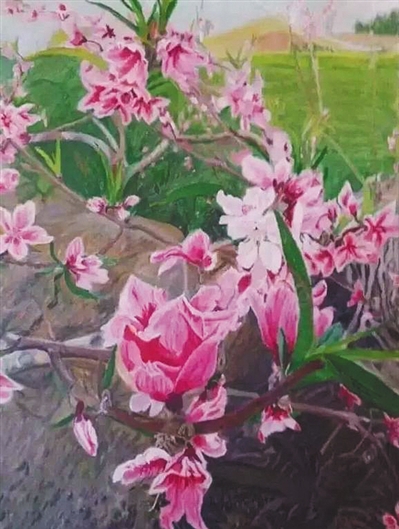 王珍风作品，价格200元，已被收藏。