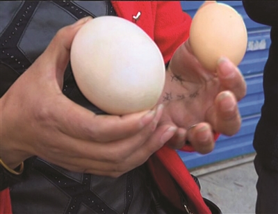 杀鸡取出一巨蛋。