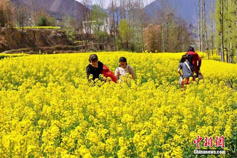 点击进入下一页