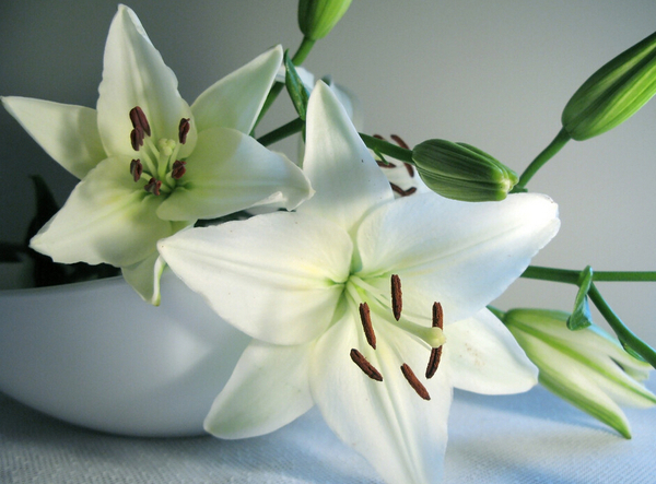 QQ截图20160330094512