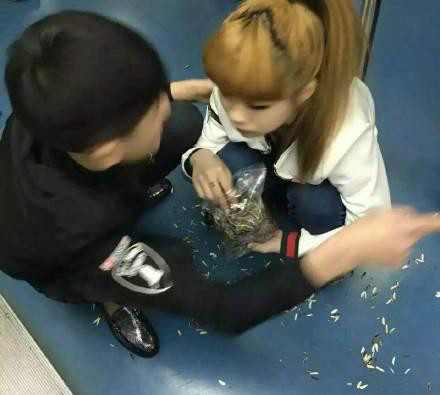 非主流地铁嗑瓜子 