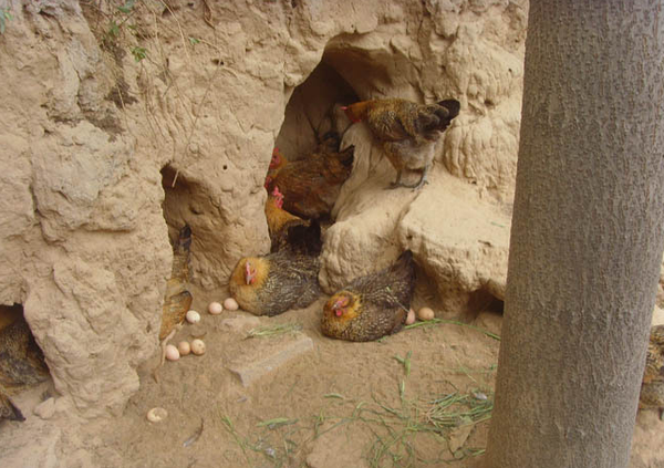 QQ图片20160331094324