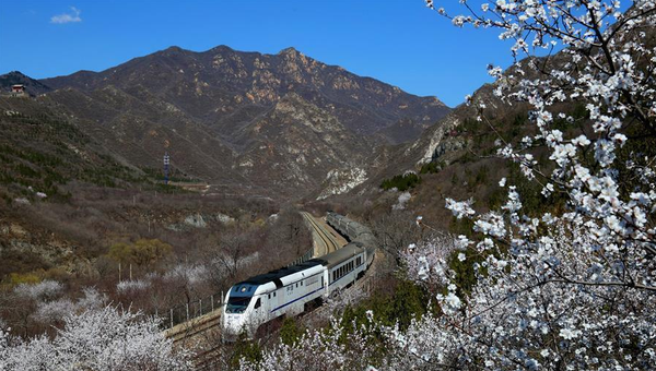 QQ图片20160331173603