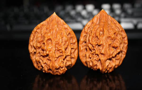 QQ图片20160401161304