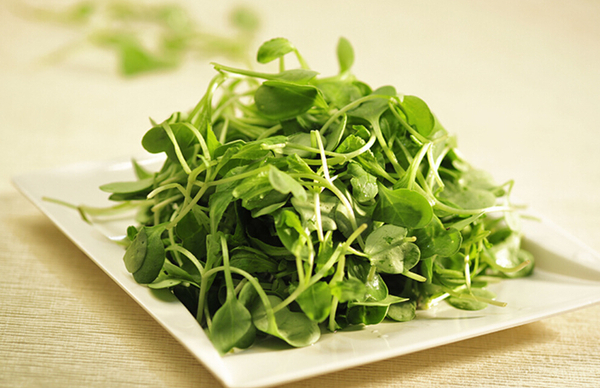 QQ截图20160405141658