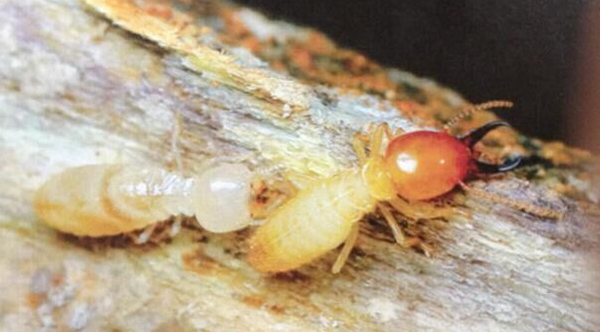 QQ图片20160405150154