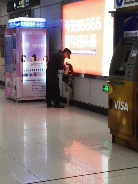 QQ截图20160407135302