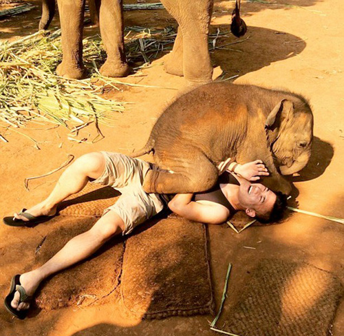 据悉，这头热情的小象名叫Nampuu，在泰语里是喷泉的意思。从游客拍摄到的照片中可以看到，小象把腿放在了游客身上，并且用鼻子环绕在游客的头部，游客们既开心又害怕，引来阵阵欢愉的尖叫声。小象在和游客们玩?；ザ氖焙?，象妈妈一直在旁边监督着。