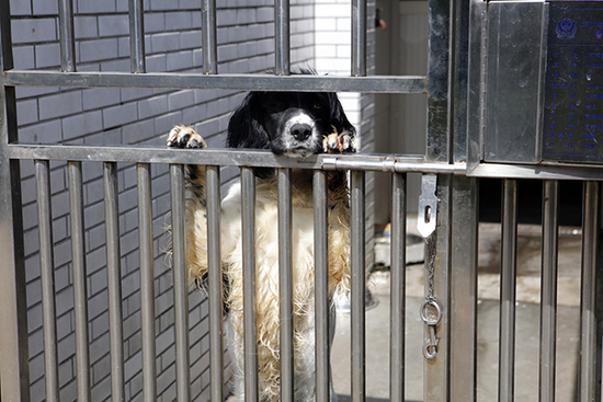 从“宿舍”门向外探头的Jess。