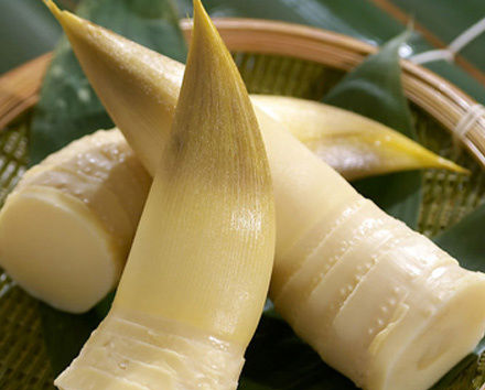 春笋怎么吃最好 脾胃弱、肾炎病人慎吃