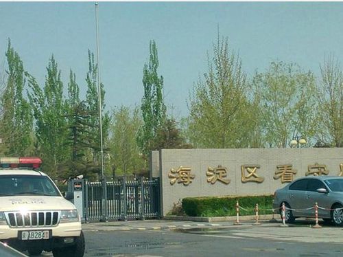 肯尼亚回应台湾嫌犯被遣返大陆:从哪来回哪去