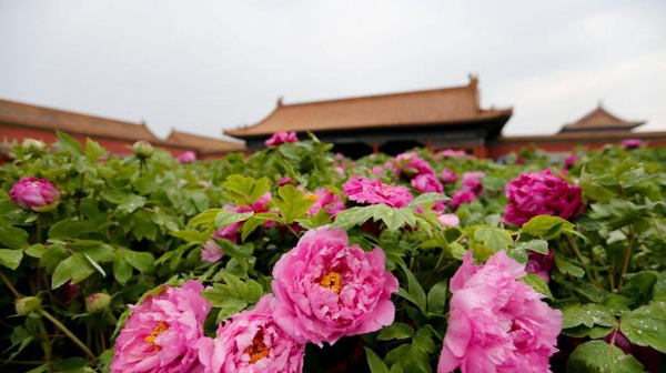 QQ图片20160414175931