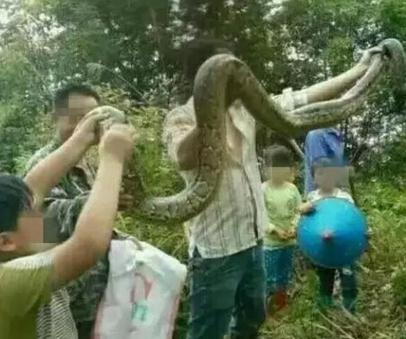 玉林两兄弟抓野生大蟒炖汤