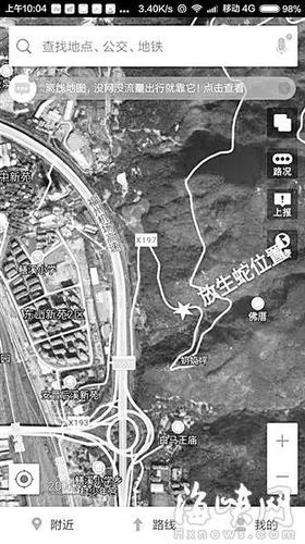 福州一县道现5条被放生毒蛇 距小学仅500米(图)