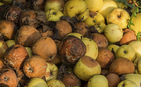 食物有这5种味道 可能是变质了