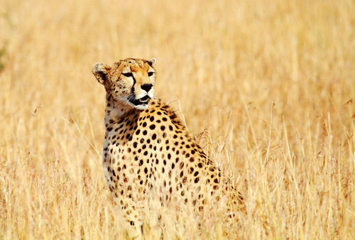 103215nd1w4ccuwwwzptmt 103215nd1w4ccuwwwzptmt