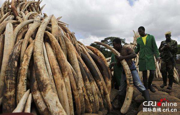 QQ截图20160429134715