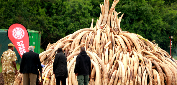 QQ图片20160503153634