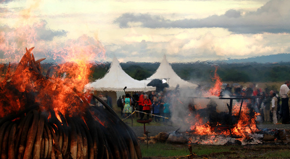 QQ图片20160503153526