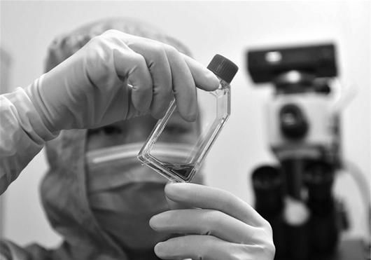 卫计委：免疫细胞治疗技术属临床研究3