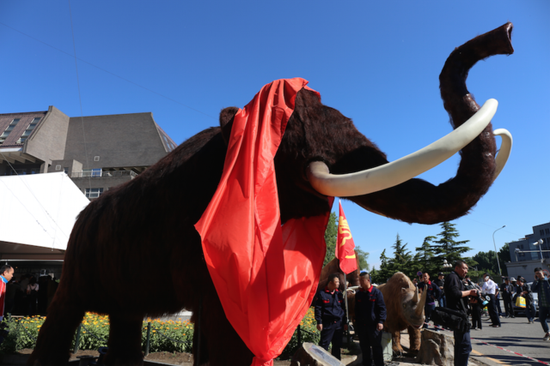 青冈县猛犸象仿真模型
