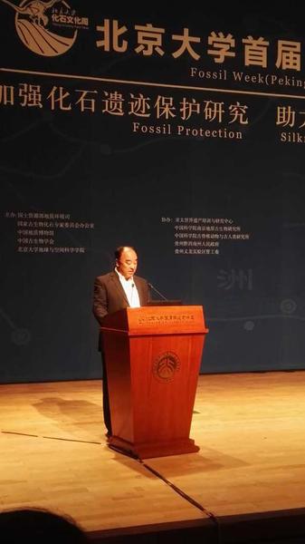 新疆鄯善县县长艾尔肯·买买提致辞