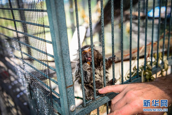 QQ截图20160506141320