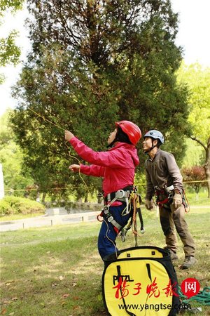 苏州校园将设“爬树课”