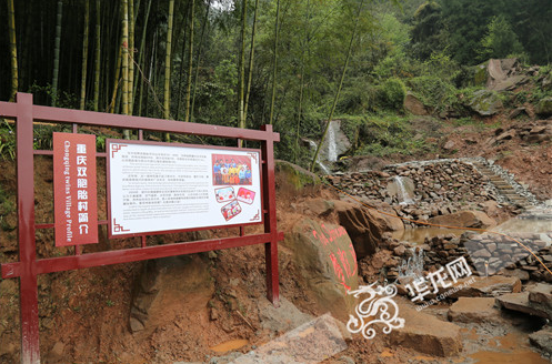 爷孙三代都是双胞胎！重庆一个村出了39对双胞胎待解谜