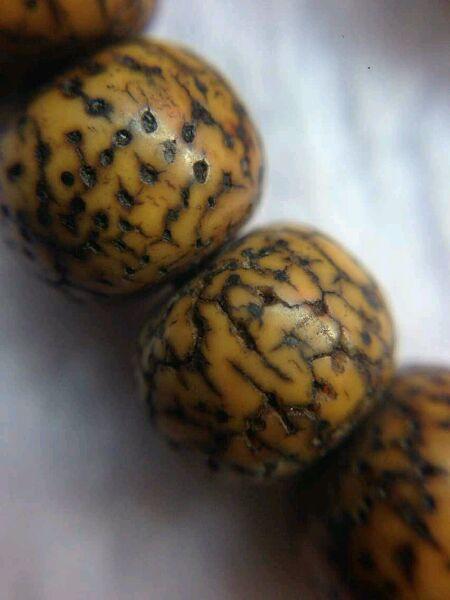 看完以上的你清楚了吗？