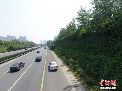 资料图。张一辰 摄