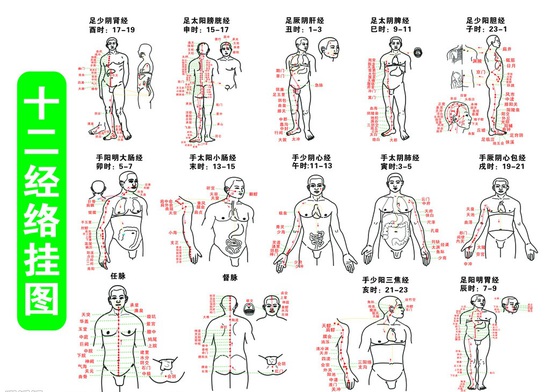 十二经络图带你揭开人体秘密！