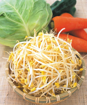 春夏湿重 试试黄豆芽排骨汤