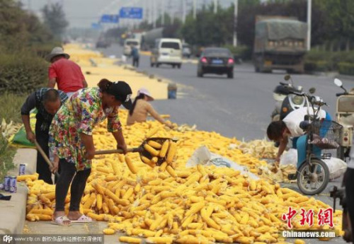 资料图。图片来源：CFP视觉中国