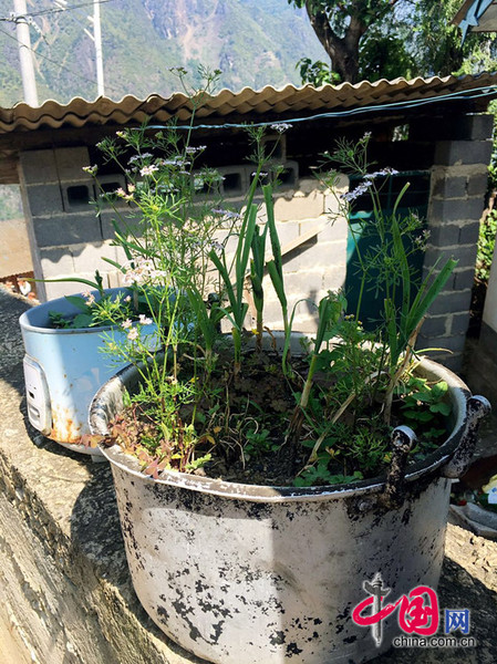 朱维群率全国政协调研组赴怒江州调研扶贫：从根本上阻断“穷根”（中国网记者 王金梅）