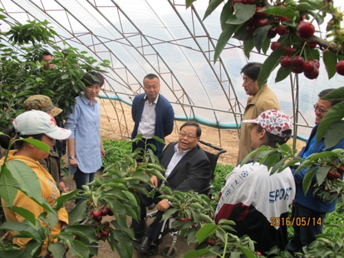 　　图为调研组在农村残疾人扶贫基地进行考察