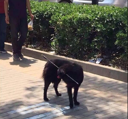 QQ浏览器截屏未命名