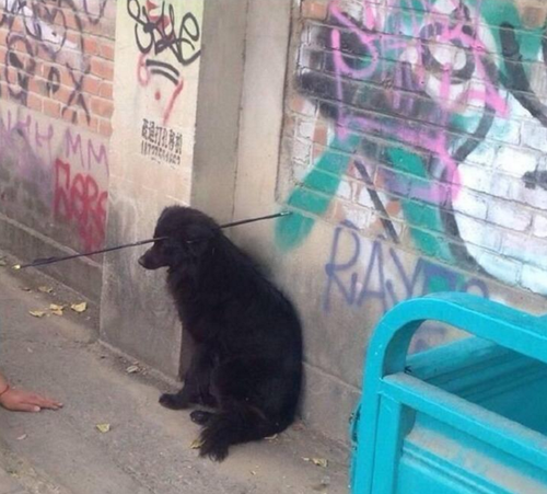 QQ浏览器截屏未命名1