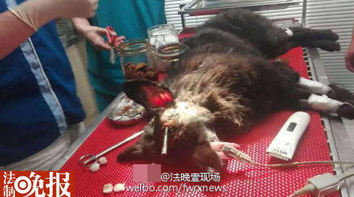 QQ浏览器截屏未命名3