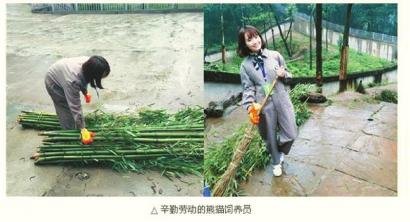 女孩从外交部“裸辞”：想看看生活的另一种可能