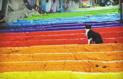 女孩从外交部“裸辞”：想看看生活的另一种可能