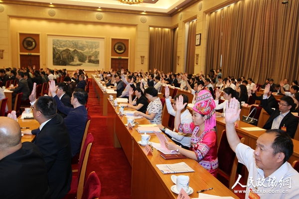 代表表决-赵金广摄