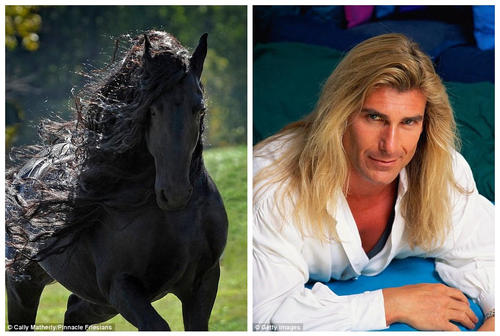 这匹马就像爱情小说中随处可见的骑着马的英俊男主角，图为“腓特烈二世”与美国爱情小说封面男神法比奥-兰佐尼的对比照，他们都有一头飘飘的长发。